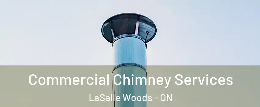  Commercial Chimney Services LaSalle Woods - ON