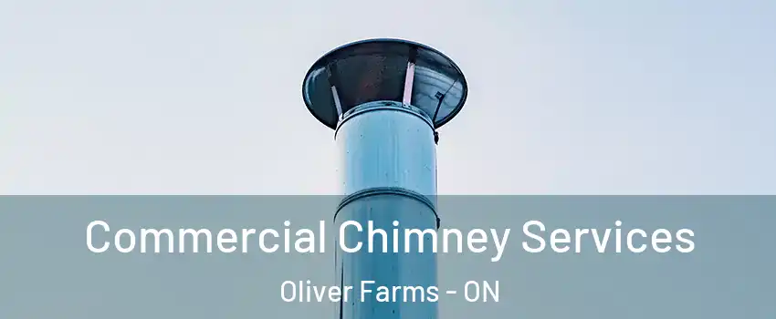  Commercial Chimney Services Oliver Farms - ON