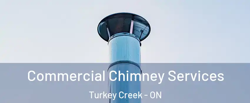  Commercial Chimney Services Turkey Creek - ON