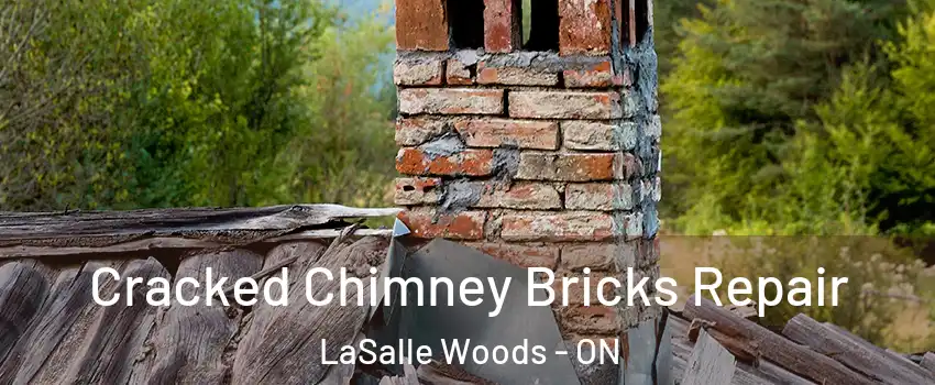  Cracked Chimney Bricks Repair LaSalle Woods - ON