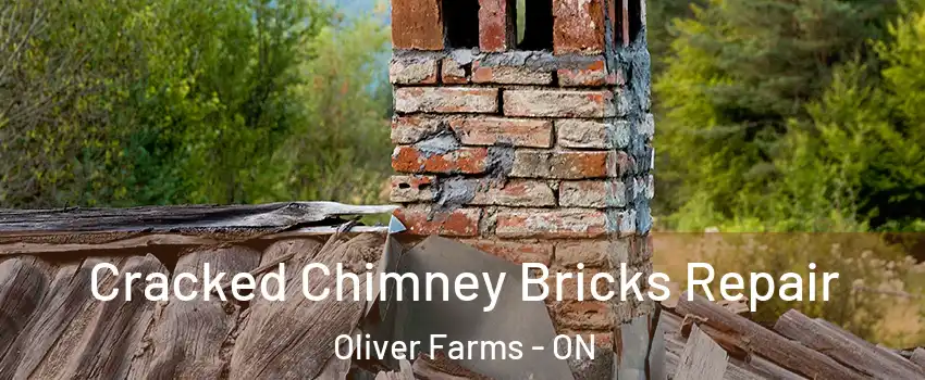  Cracked Chimney Bricks Repair Oliver Farms - ON