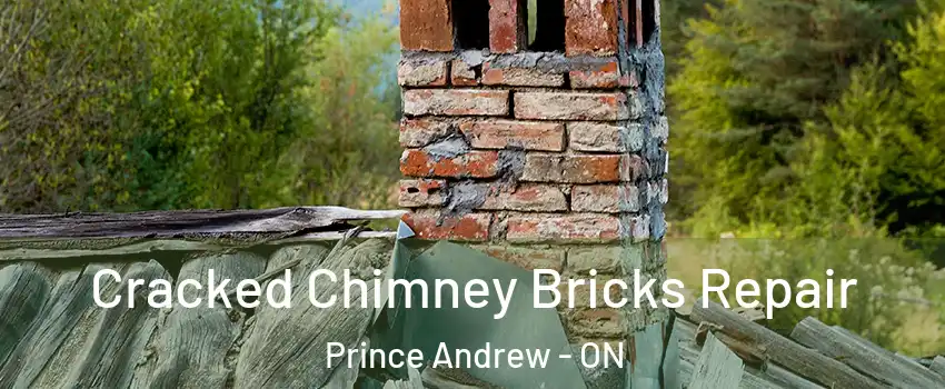  Cracked Chimney Bricks Repair Prince Andrew - ON