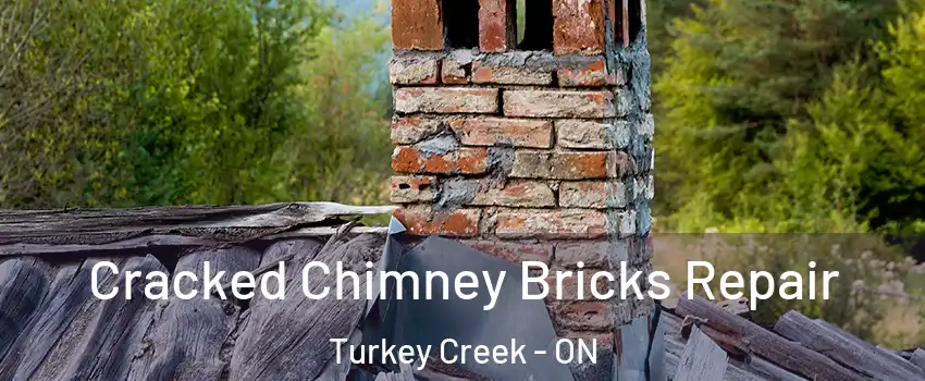  Cracked Chimney Bricks Repair Turkey Creek - ON