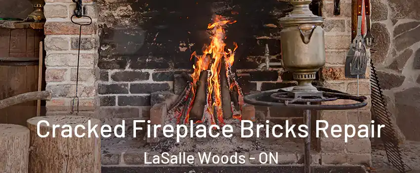  Cracked Fireplace Bricks Repair LaSalle Woods - ON