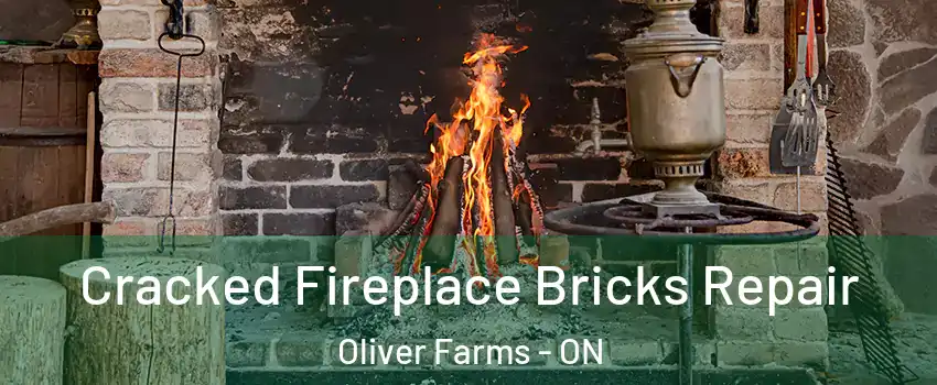  Cracked Fireplace Bricks Repair Oliver Farms - ON