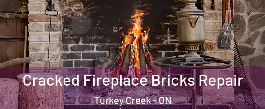  Cracked Fireplace Bricks Repair Turkey Creek - ON