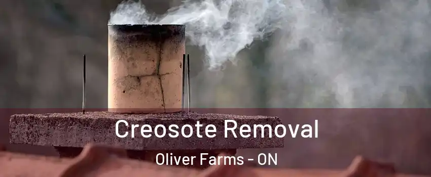  Creosote Removal Oliver Farms - ON
