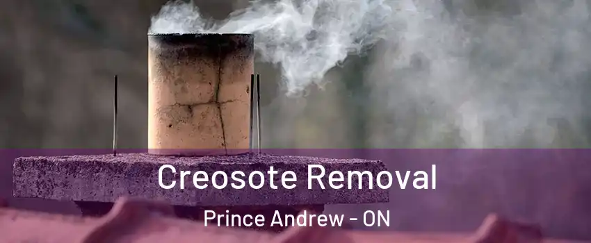  Creosote Removal Prince Andrew - ON