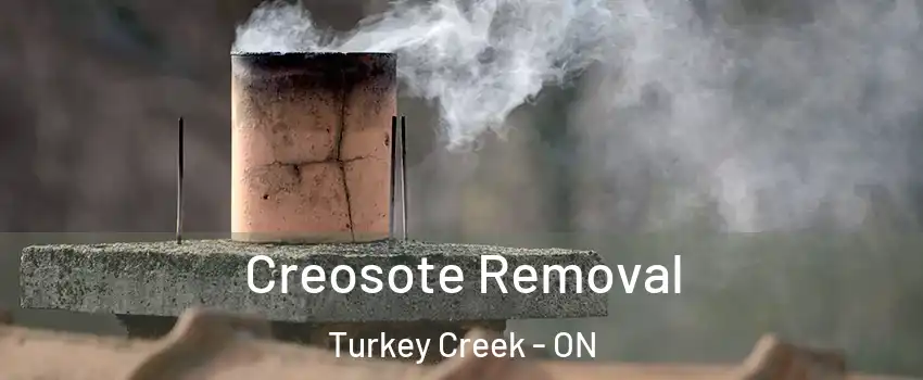  Creosote Removal Turkey Creek - ON