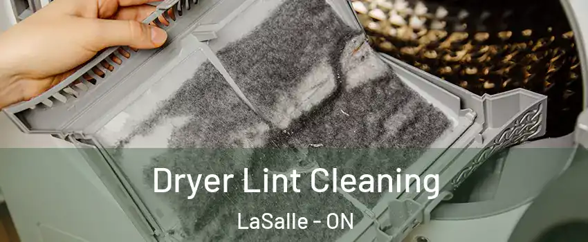 Dryer Lint Cleaning LaSalle - ON