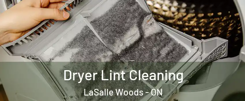  Dryer Lint Cleaning LaSalle Woods - ON