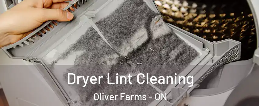  Dryer Lint Cleaning Oliver Farms - ON