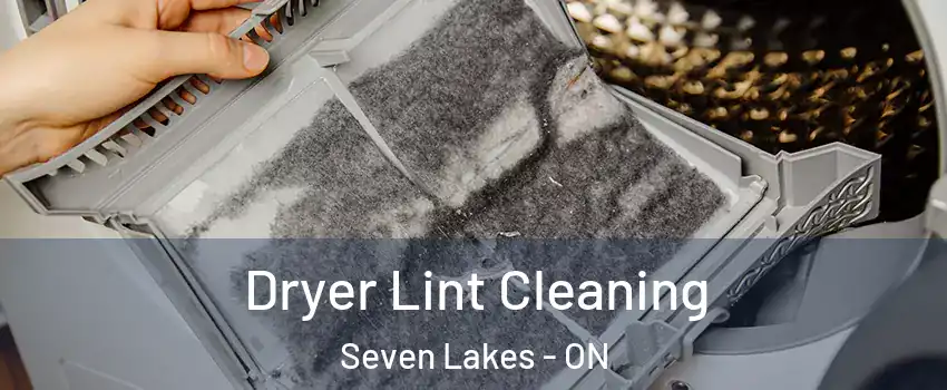 Dryer Lint Cleaning Seven Lakes - ON