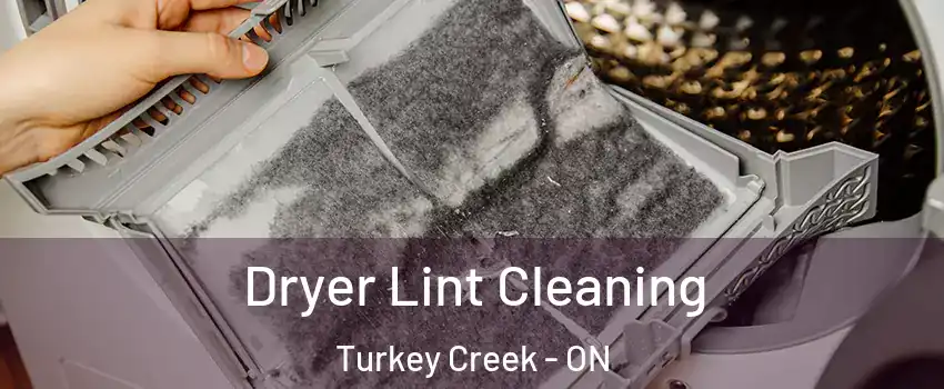  Dryer Lint Cleaning Turkey Creek - ON