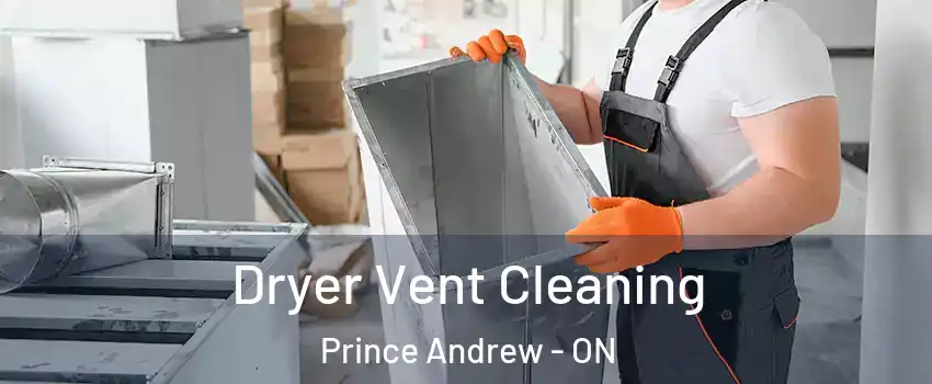  Dryer Vent Cleaning Prince Andrew - ON
