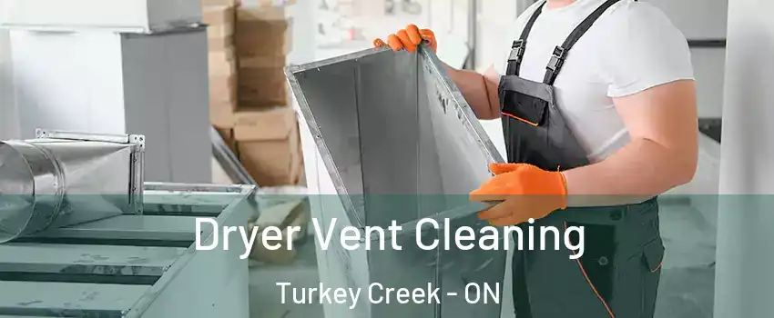  Dryer Vent Cleaning Turkey Creek - ON