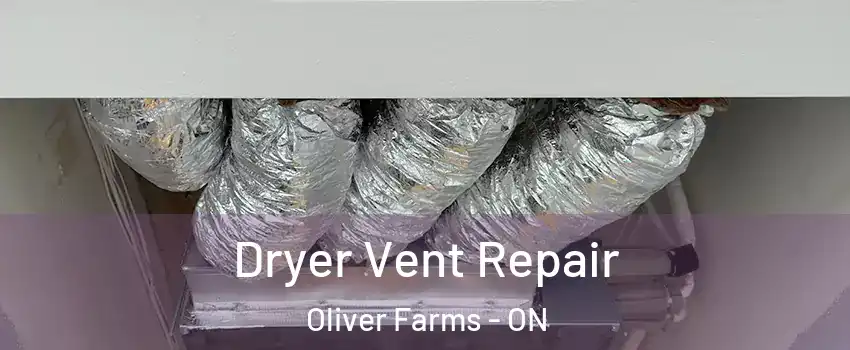  Dryer Vent Repair Oliver Farms - ON