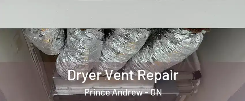  Dryer Vent Repair Prince Andrew - ON
