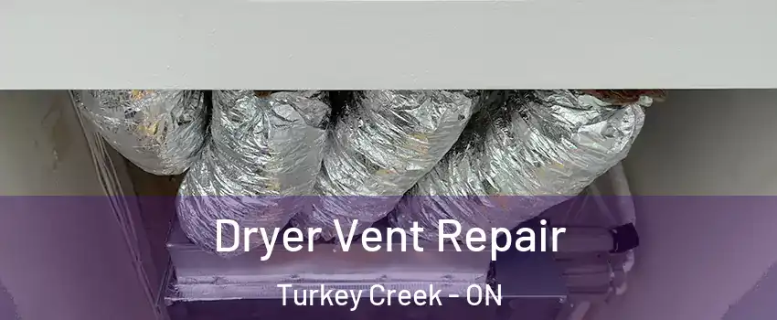  Dryer Vent Repair Turkey Creek - ON