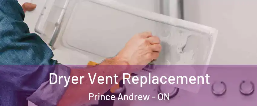  Dryer Vent Replacement Prince Andrew - ON