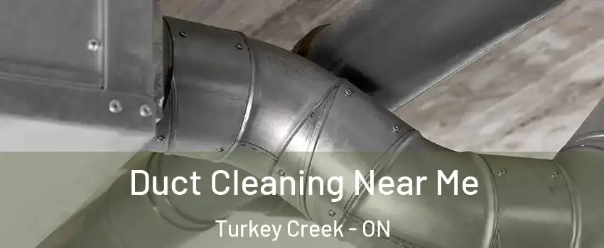  Duct Cleaning Near Me Turkey Creek - ON