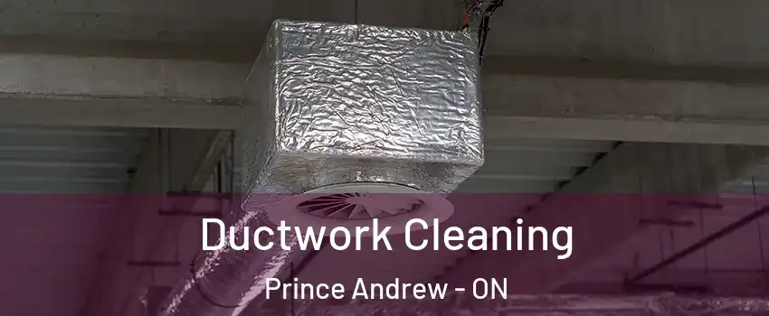  Ductwork Cleaning Prince Andrew - ON