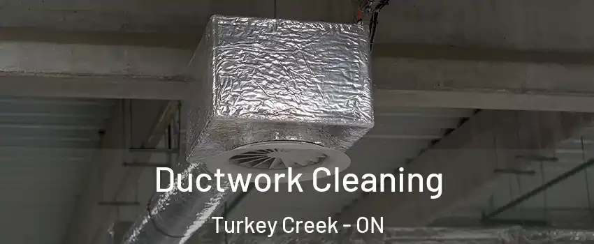  Ductwork Cleaning Turkey Creek - ON
