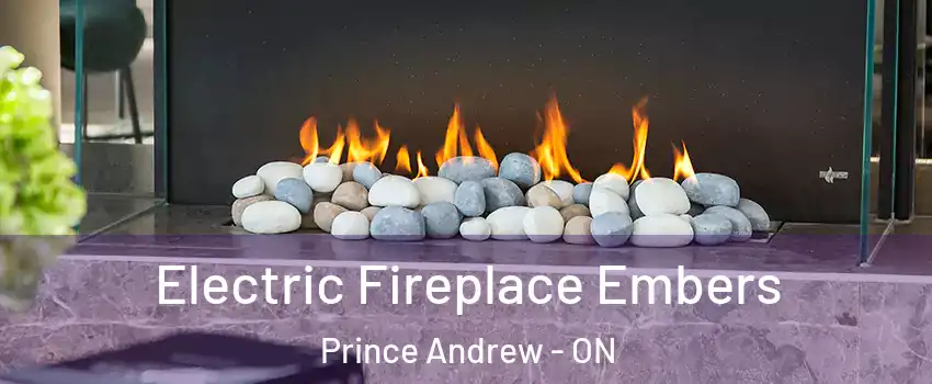  Electric Fireplace Embers Prince Andrew - ON