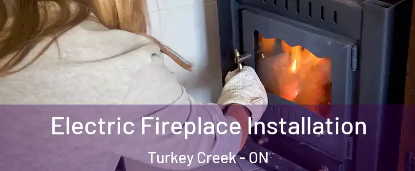  Electric Fireplace Installation Turkey Creek - ON