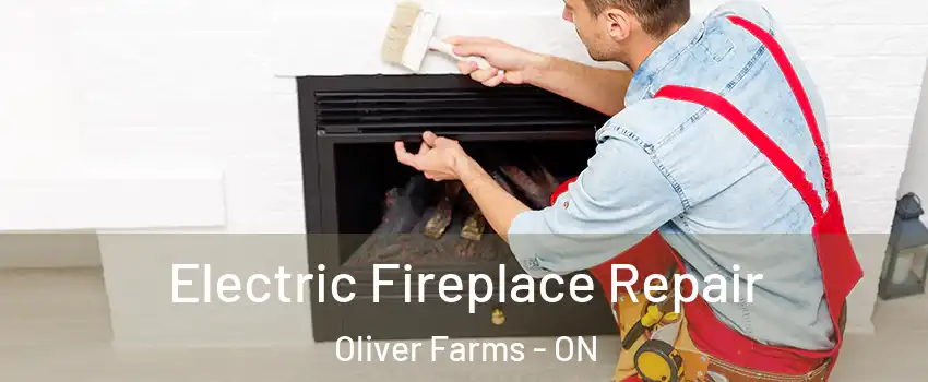  Electric Fireplace Repair Oliver Farms - ON