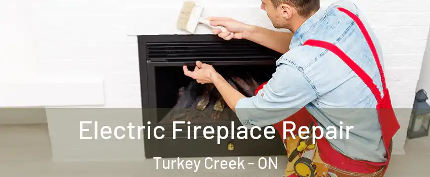  Electric Fireplace Repair Turkey Creek - ON