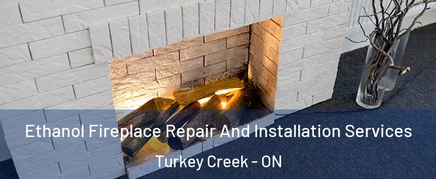  Ethanol Fireplace Repair And Installation Services Turkey Creek - ON
