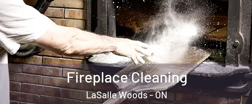 Fireplace Cleaning LaSalle Woods - ON