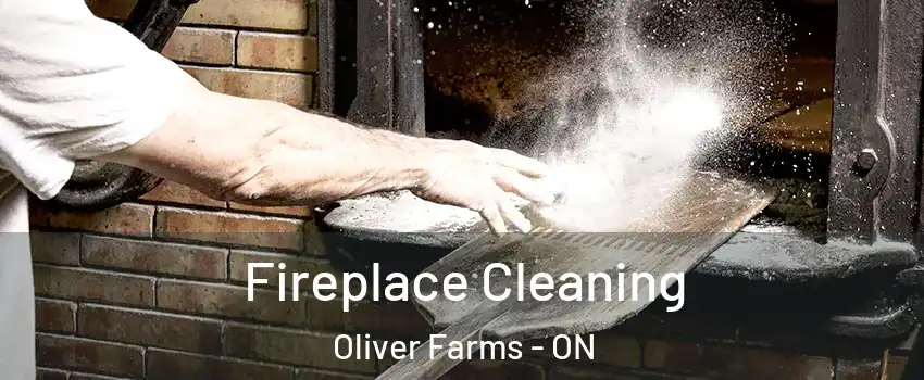  Fireplace Cleaning Oliver Farms - ON