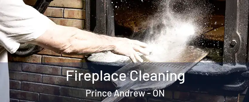  Fireplace Cleaning Prince Andrew - ON