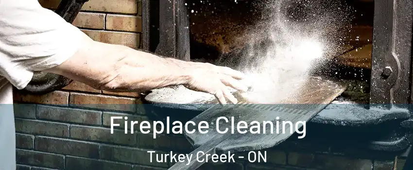  Fireplace Cleaning Turkey Creek - ON