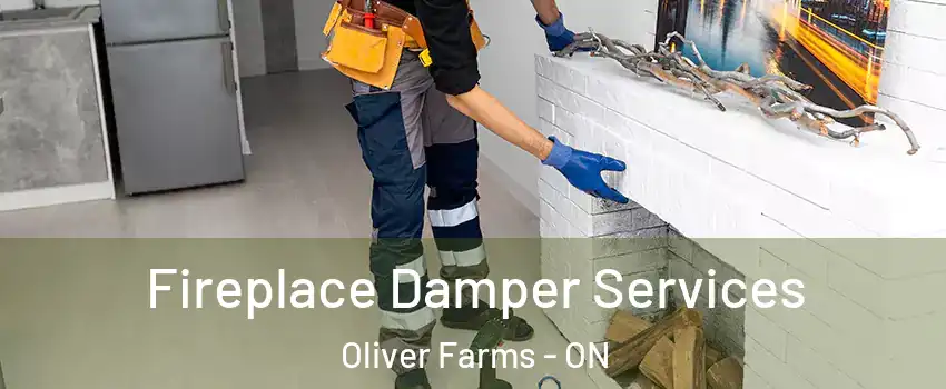  Fireplace Damper Services Oliver Farms - ON