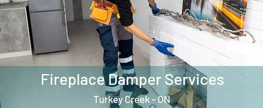  Fireplace Damper Services Turkey Creek - ON