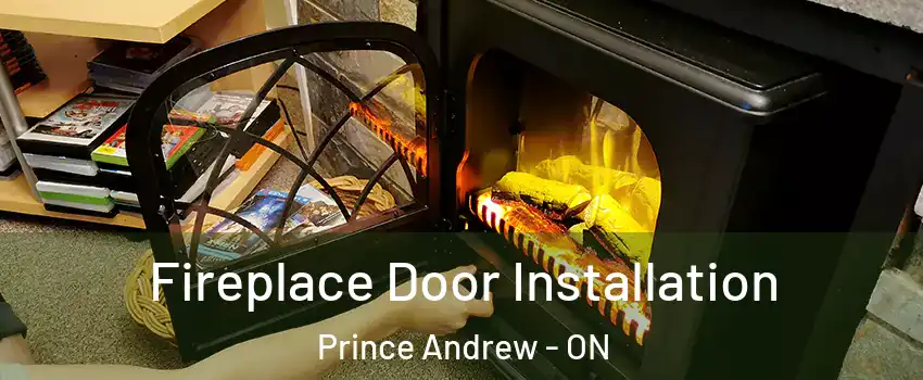  Fireplace Door Installation Prince Andrew - ON