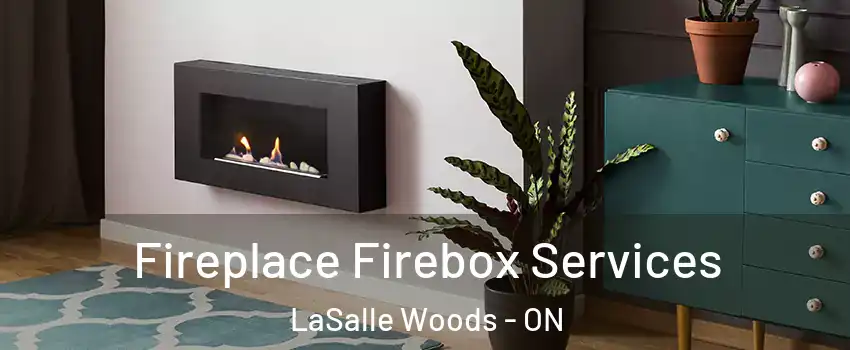  Fireplace Firebox Services LaSalle Woods - ON