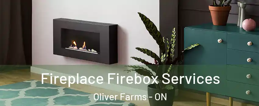  Fireplace Firebox Services Oliver Farms - ON
