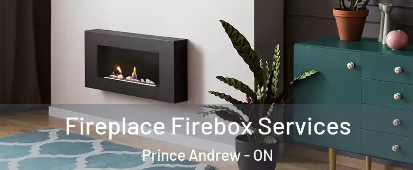  Fireplace Firebox Services Prince Andrew - ON