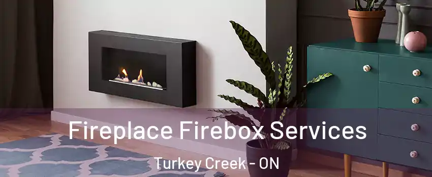  Fireplace Firebox Services Turkey Creek - ON