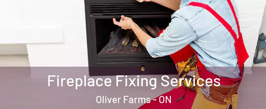  Fireplace Fixing Services Oliver Farms - ON
