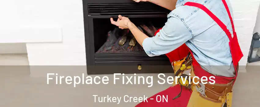  Fireplace Fixing Services Turkey Creek - ON