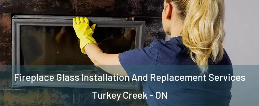  Fireplace Glass Installation And Replacement Services Turkey Creek - ON
