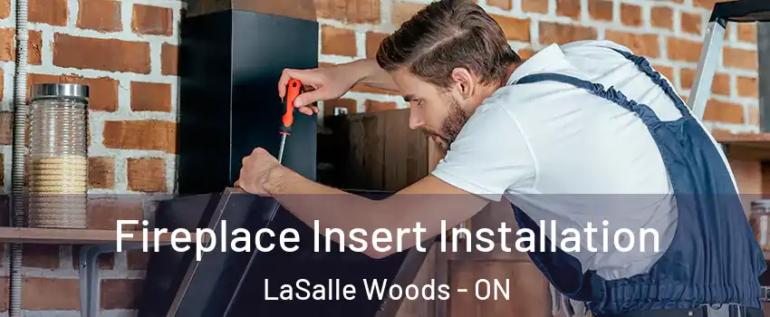  Fireplace Insert Installation LaSalle Woods - ON
