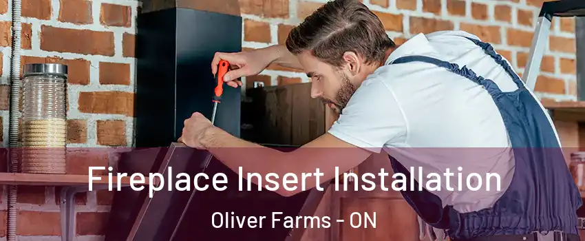  Fireplace Insert Installation Oliver Farms - ON