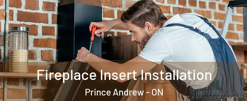  Fireplace Insert Installation Prince Andrew - ON