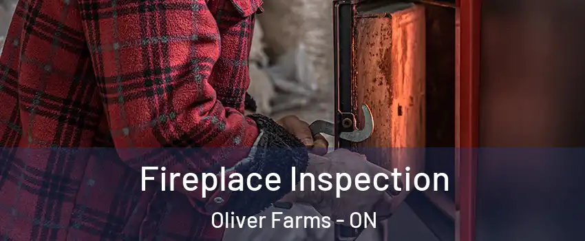  Fireplace Inspection Oliver Farms - ON